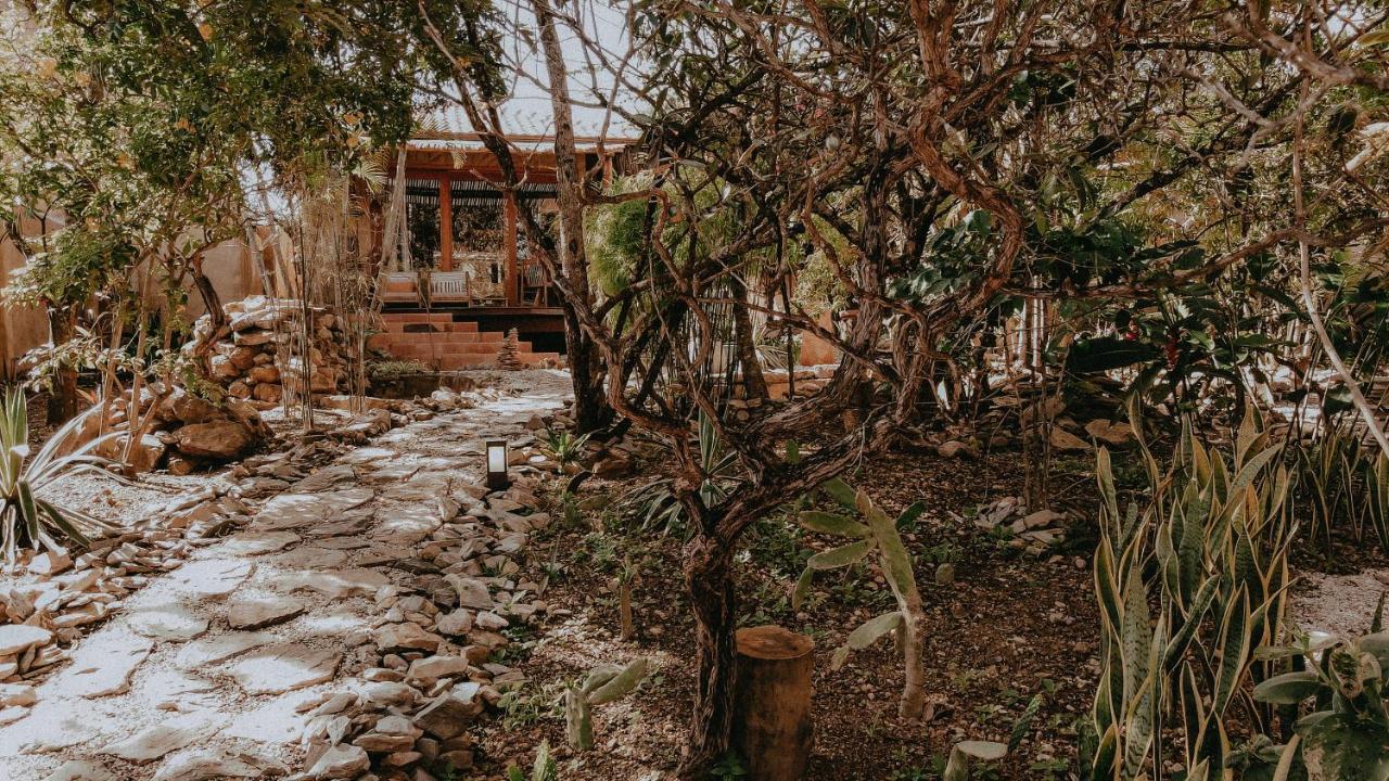 Cerrado * Alto Paraíso de Goiás
